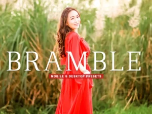 bramble mobile & desktop lightroom presets (3) 85963
