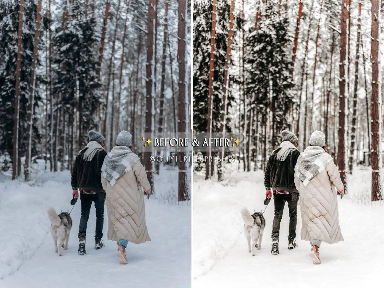 Bright Clean WINTER WHITES Holiday Lightroom Prese 4 bright clean winter whites holiday lightroom prese (4) 86556