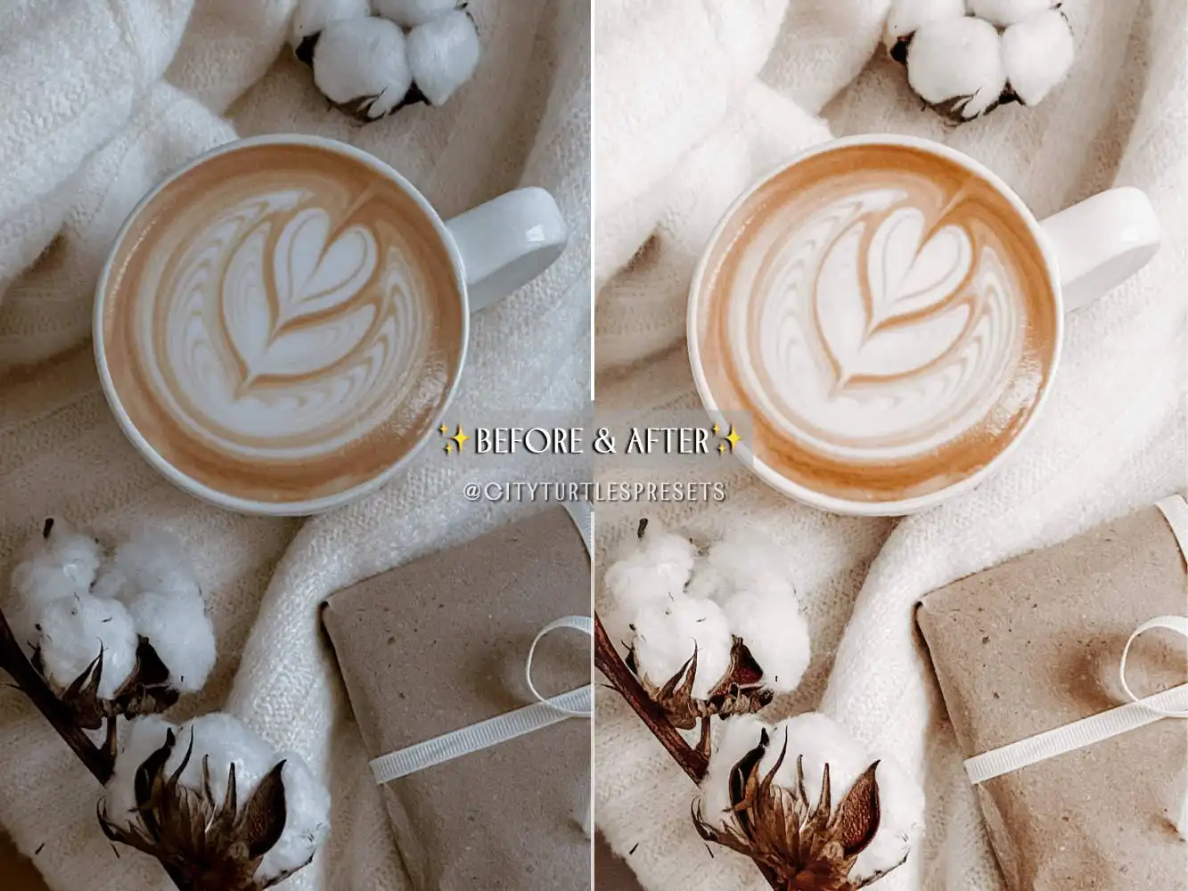 Bright Clean WINTER WHITES Holiday Lightroom Prese 6 bright clean winter whites holiday lightroom prese (7) 86208