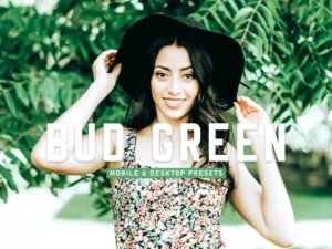 bud green mobile & desktop lightroom presets (1) 86201