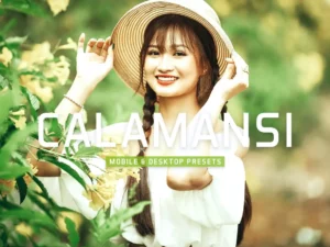 calamansi mobile & desktop lightroom presets (6) 86079