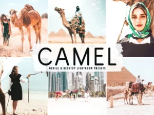 camel mobile & desktop lightroom presets (5) 86614