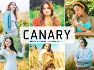 canary mobile & desktop lightroom presets (4) 86720