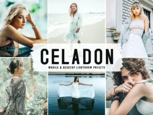 celadon mobile & desktop lightroom presets (2) 86486