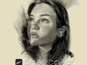 charcoal brushes for procreate 84923