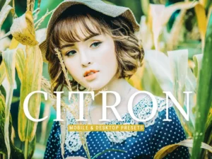 citron mobile & desktop lightroom presets (4) 86647