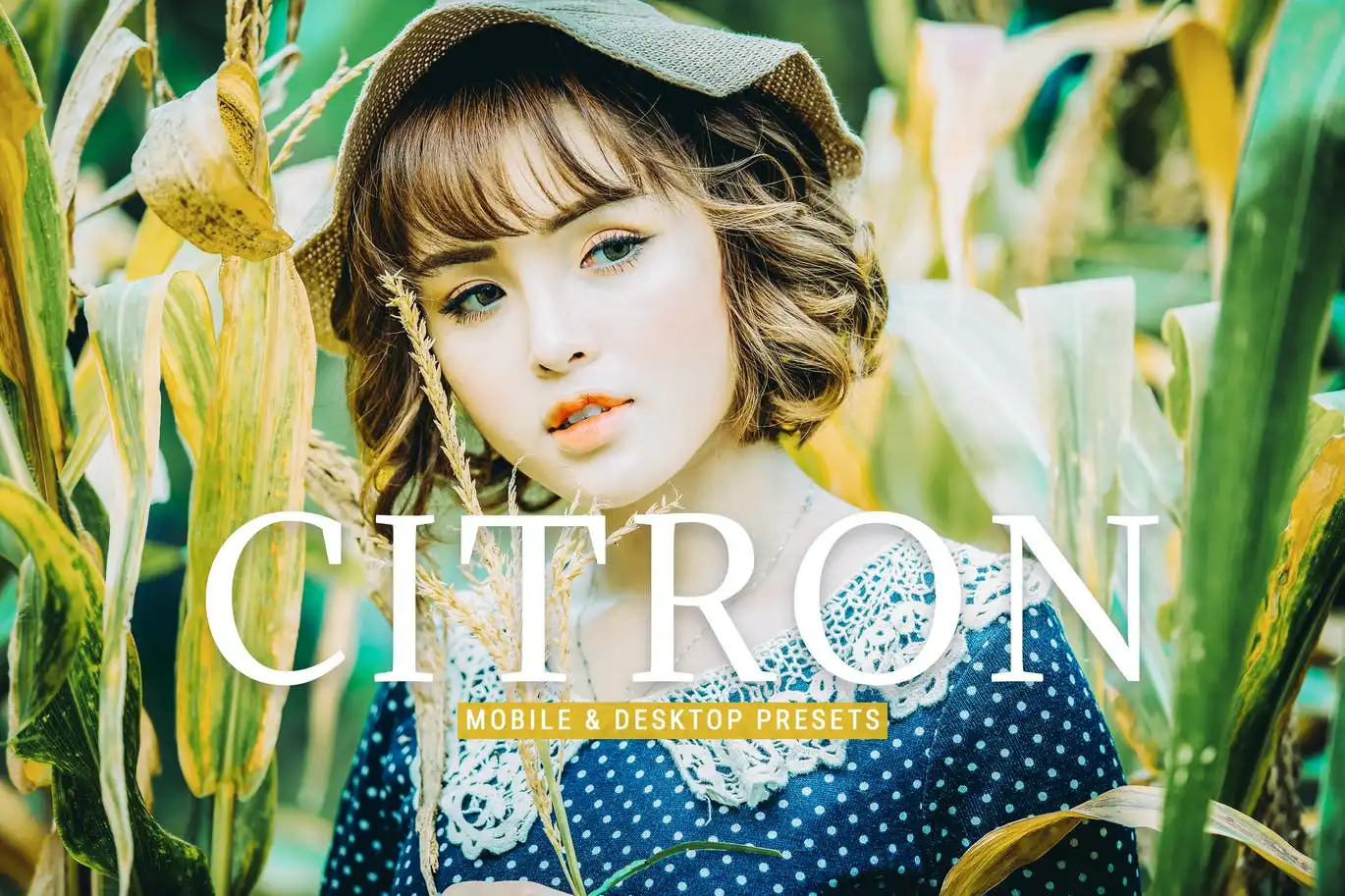 Citron Mobile Desktop Lightroom Presets