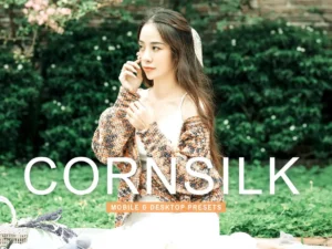 cornsilk mobile & desktop lightroom presets (2) 86632