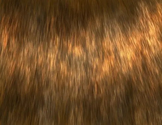 Custom Photoshop Brushes – Directional Hair / Fur Volume 2 8 custom photoshop brushes – directional hair fur volume 24 84531