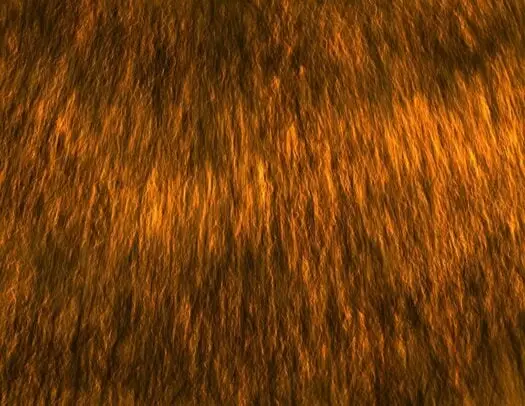 Custom Photoshop Brushes – Directional Hair / Fur Volume 2 6 custom photoshop brushes – directional hair fur volume 26 84533