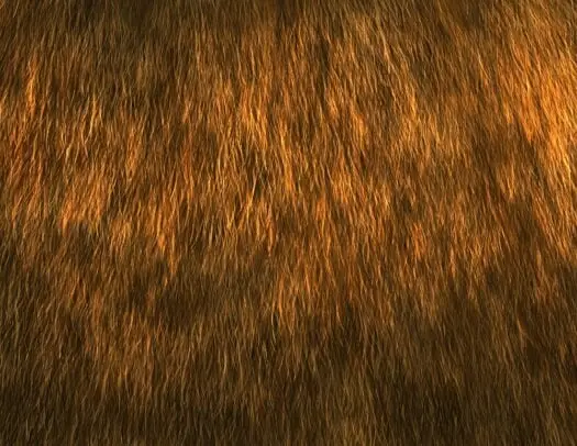 Custom Photoshop Brushes – Directional Hair / Fur Volume 2 5 custom photoshop brushes – directional hair fur volume 27 84534