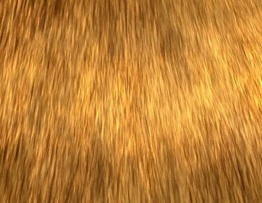 Custom Photoshop Brushes – Directional Hair / Fur Volume 2 4 custom photoshop brushes – directional hair fur volume 28 84535