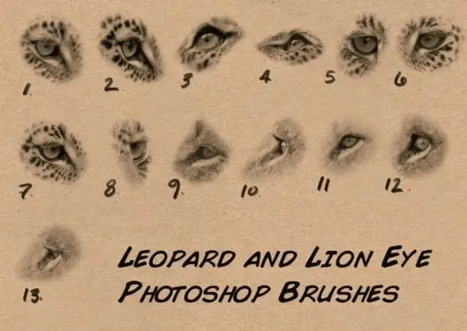 Custom Photoshop Brushes – Set 4 (Lion & Leopard Eyes) 2 custom photoshop brushes – set 4 (lion & leopard eyes)2 84547