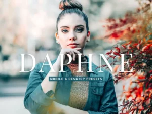 daphne mobile & desktop lightroom presets (2) 86222