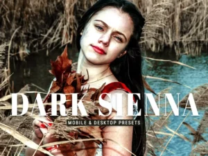 dark sienna mobile & desktop lightroom presets (2) 86636