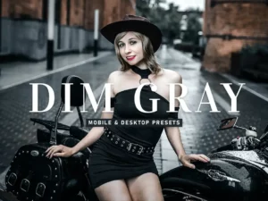 dim gray mobile & desktop lightroom presets (4) 86231