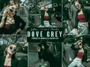 dove grey photoshop action & lightrom presets (3) 87465