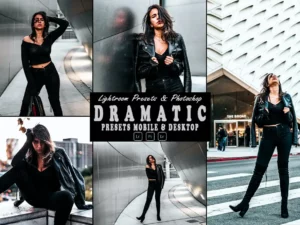 dramatic action & lightrom presets (6) 87111