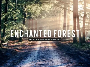 enchanted forest mobile & desktop lightroom preset (1) 86905
