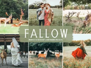 fallow mobile & desktop lightroom presets (2) 86894