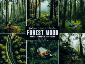 forest photoshop action & lightrom presets (3) 87731