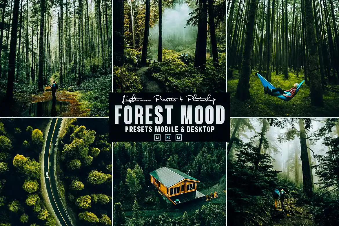 Forest Photoshop Action & Lightrom Presets 1 forest photoshop action & lightrom presets (3) 87731