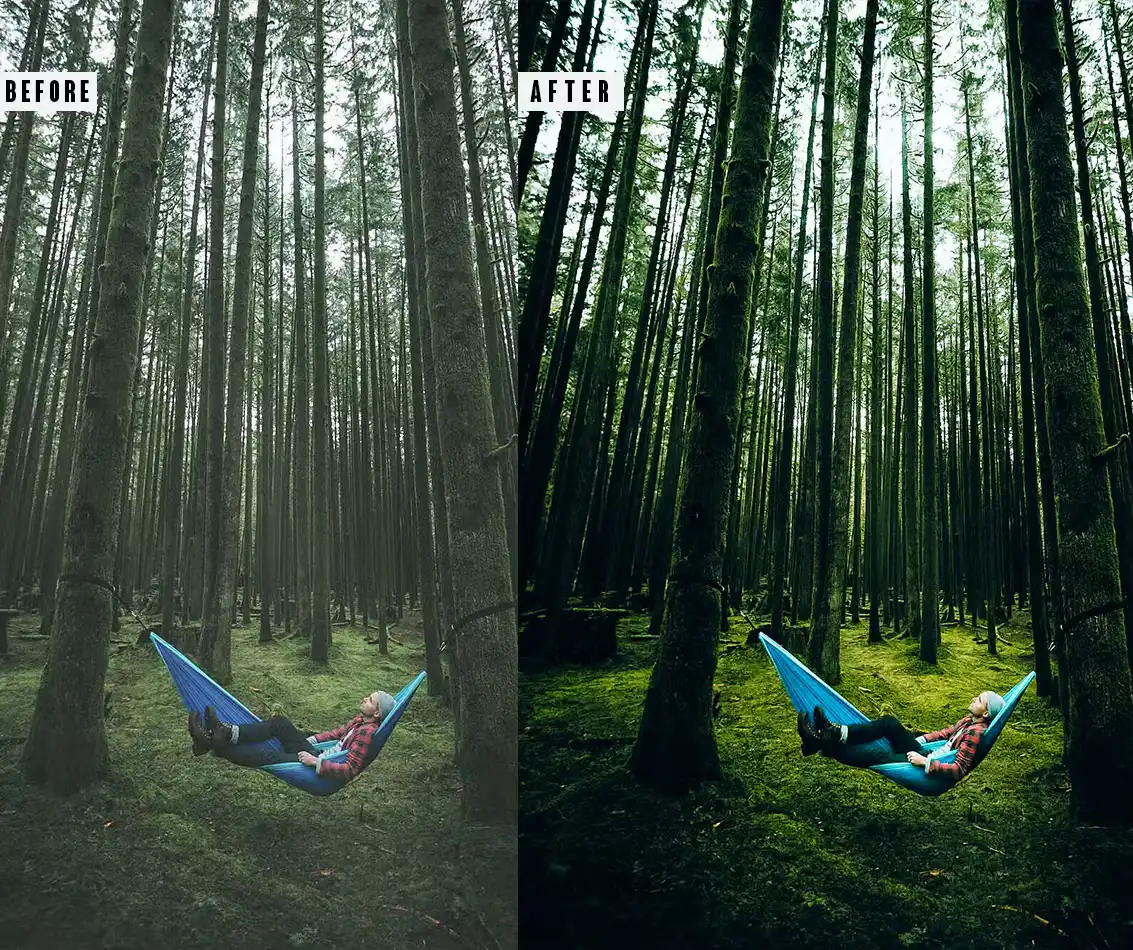 Forest Photoshop Action & Lightrom Presets 3 forest photoshop action & lightrom presets (4) 87734