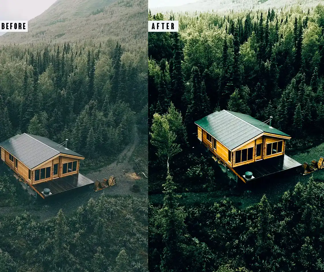 Forest Photoshop Action & Lightrom Presets 4 forest photoshop action & lightrom presets (5) 87740