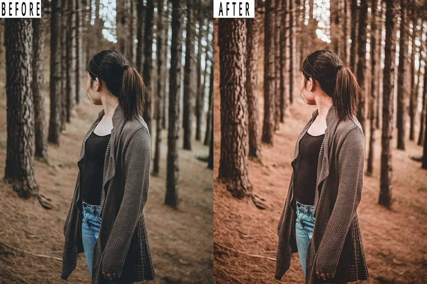 Forest Tone Photoshop Action & Lightrom Presets 7 forest tone photoshop action & lightrom presets (3) 87658