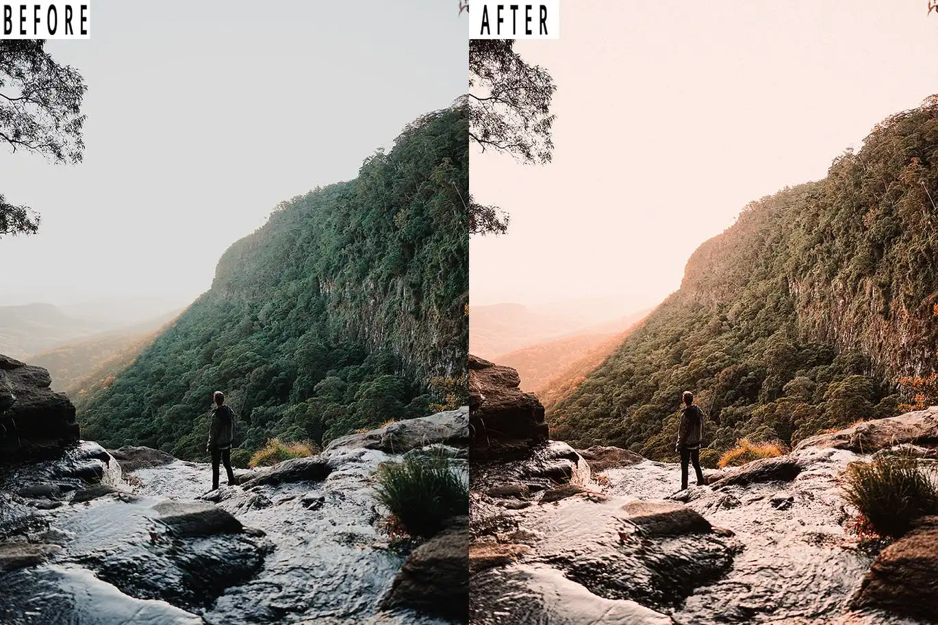 Forest Photoshop Action & Lightrom Presets 5 forest tone photoshop action & lightrom presets (5) 87742