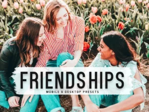 friendships mobile & desktop lightroom presets (2) 86848