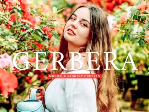 gerbera mobile & desktop lightroom presets (3) 86701