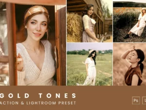 gold tones action & lightroom preset (1) 88225