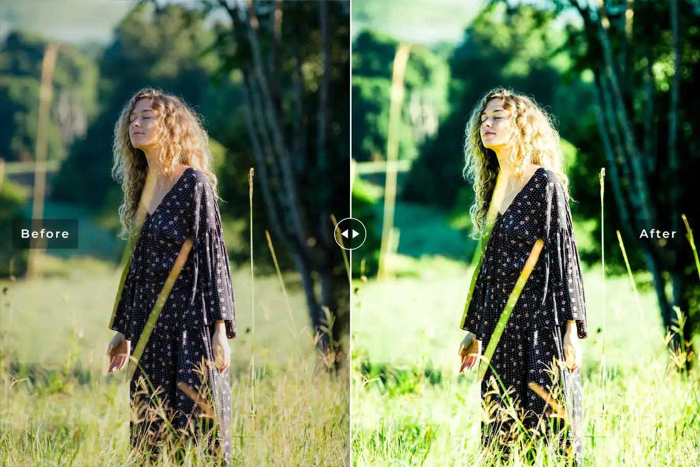 Green Lguana Mobile & Desktop Lightroom Presets 5 green lguana mobile & desktop lightroom presets (2) 86512