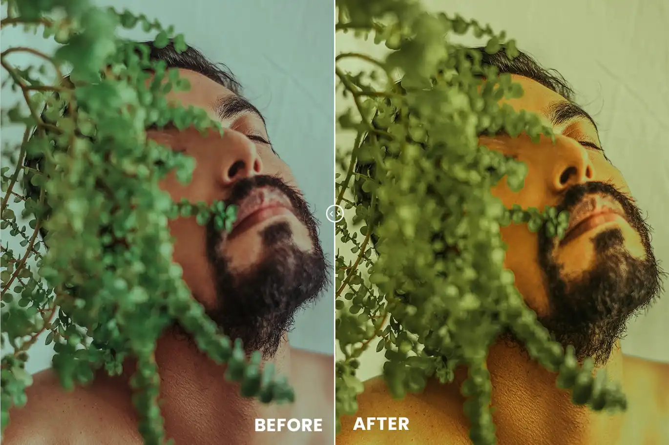 Green Tones Action & Lightrom Presets 4 green tones action & lightrom presets (1) 87012