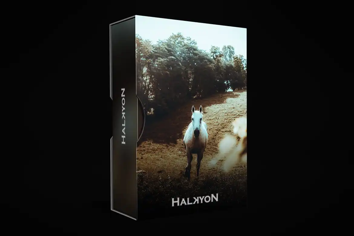 HALKYON Lightroom Preset 4 halkyon lightroom preset (1) 88231