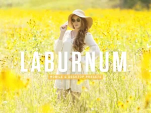 laburnum mobile & desktop lightroom presets (5) 86377