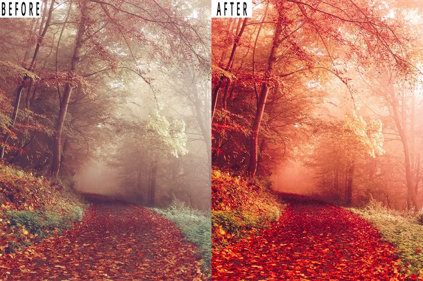Landscape Tone Photoshop Action & Lightrom Presets 6 landscape tone photoshop action & lightrom presets (3) 87811