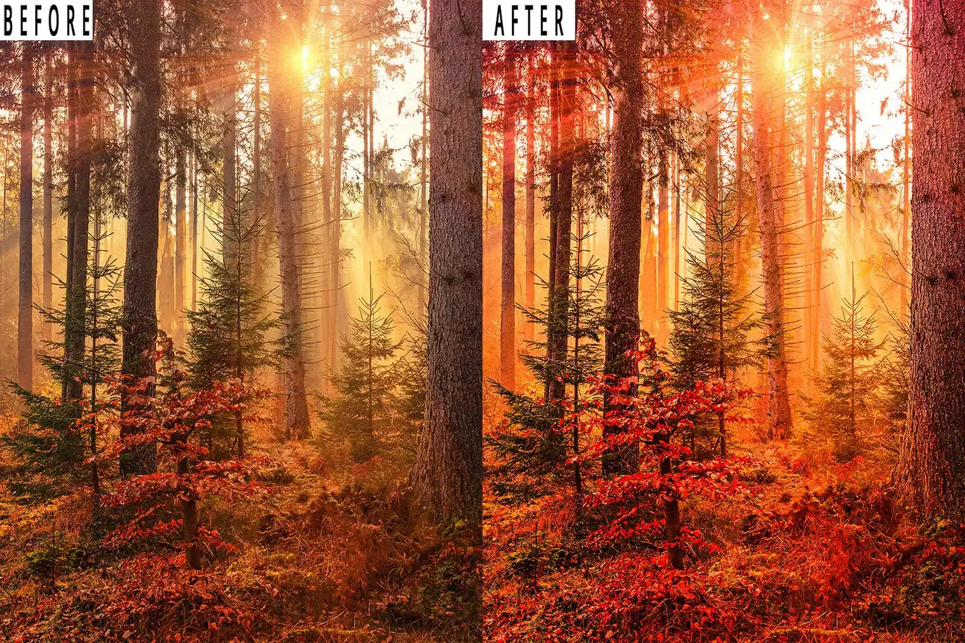 Landscape Tone Photoshop Action & Lightrom Presets 5 landscape tone photoshop action & lightrom presets (5) 87837