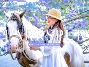 larkspur mobile & desktop lightroom presets (2) 86639