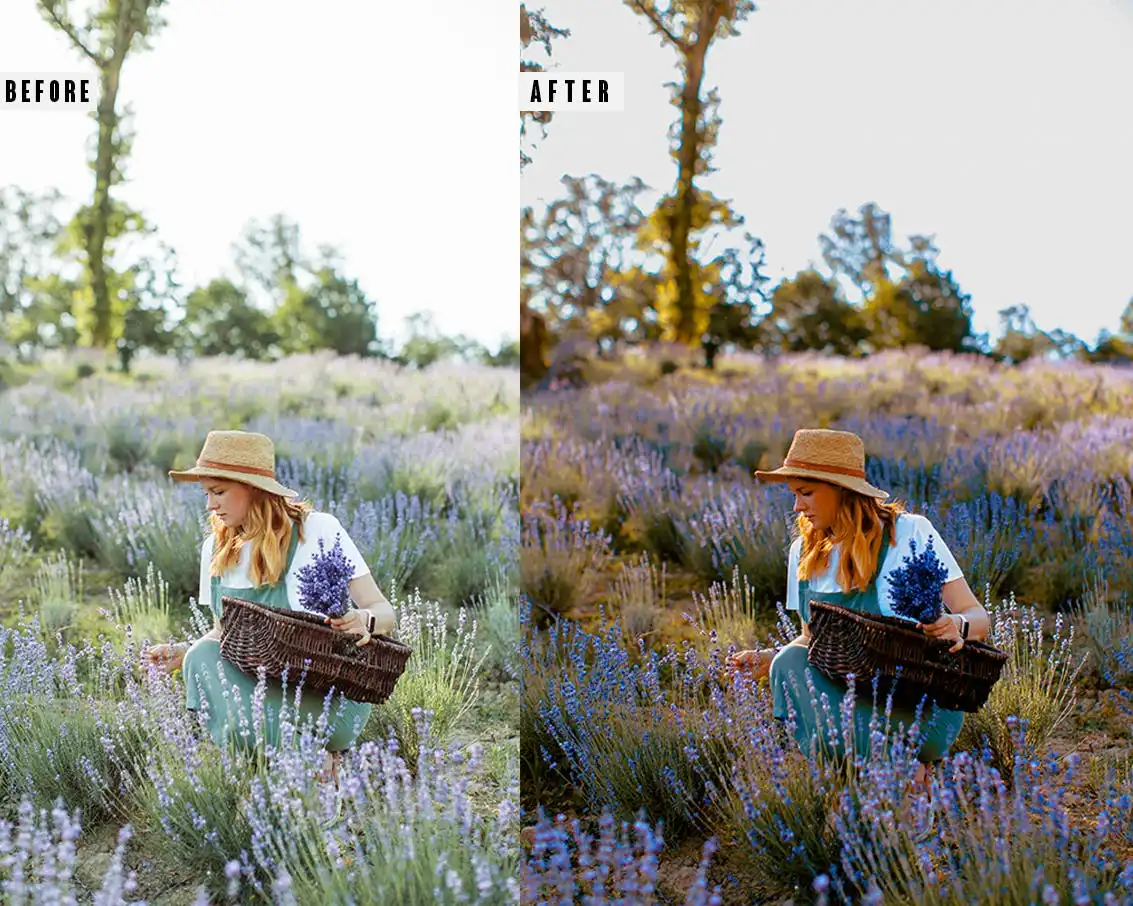 Lavender Photoshop Action & Lightrom Presets 5 lavender photoshop action & lightrom presets (2) 87592