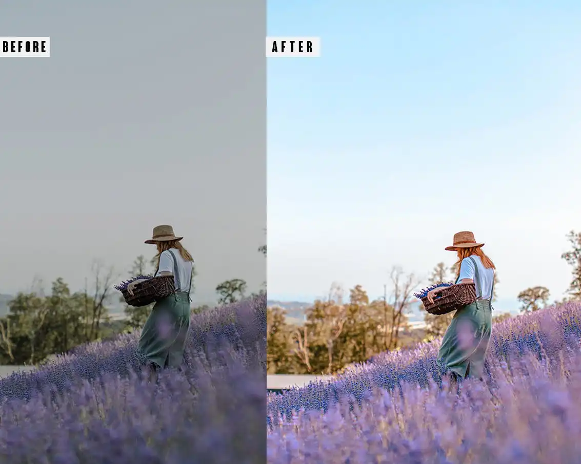 Lavender Photoshop Action & Lightrom Presets 3 lavender photoshop action & lightrom presets (5) 87367