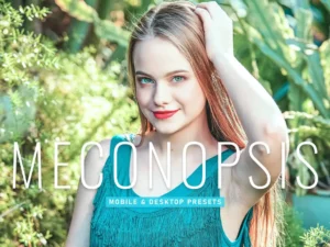 meconopsis mobile & desktop lightroom presets (1) 86710