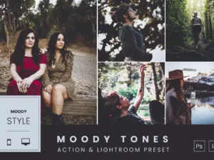 moody tones action & lightroom preset 88169