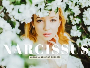 narcissus mobile & desktop lightroom presets (1) 85776