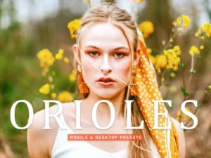 orioles mobile & desktop lightroom presets (4) 85918