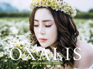 oxalis mobile & desktop lightroom presets (1) 86133