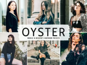 oyster mobile & desktop lightroom presets (3) 86631