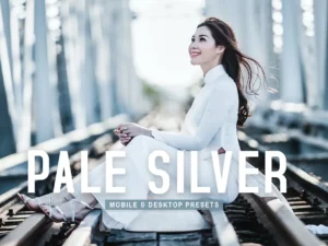 pale silver mobile & desktop lightroom presets (4) 85772