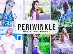 periwinkle mobile & desktop lightroom presets (5) 86620